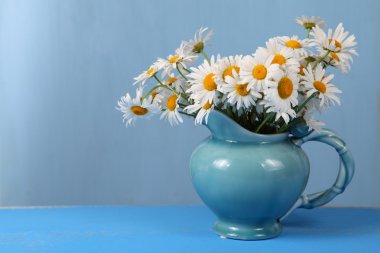 Mavi bir sürahi içinde güzel chamomiles 
