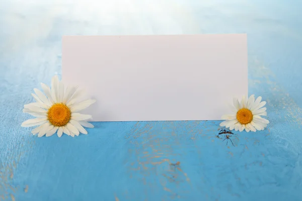 Hermosas manzanillas y tarjeta de felicitación — Foto de Stock