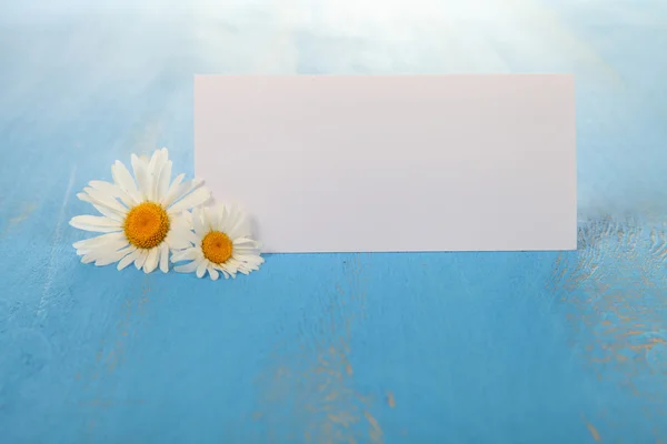 Hermosas manzanillas y tarjeta de felicitación — Foto de Stock