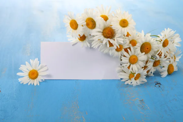 Hermosas manzanillas y tarjeta de felicitación —  Fotos de Stock