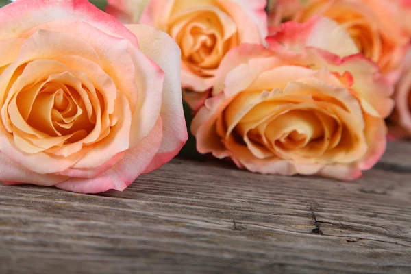 Ramo de hermosas rosas rosadas — Foto de Stock