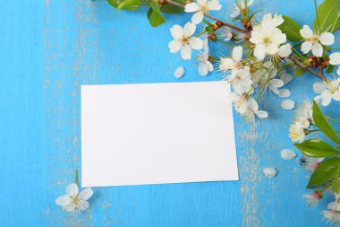 Mavi bir arka plan üzerinde kiraz çiçekleri