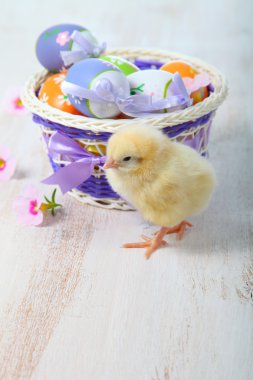 Sarı tavuk ve Paskalya yortusu yumurta 