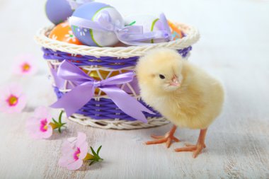 Sarı tavuk ve Paskalya yortusu yumurta 