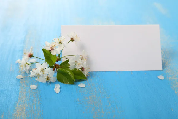 Branch of cherry blossoms and card — Stock Photo, Image