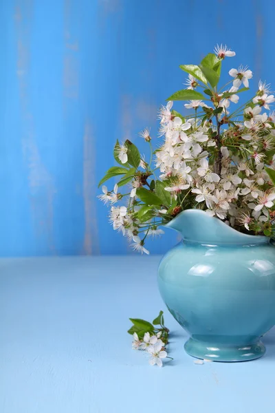 Bukett av körsbär blommar på blå bakgrund — Stockfoto