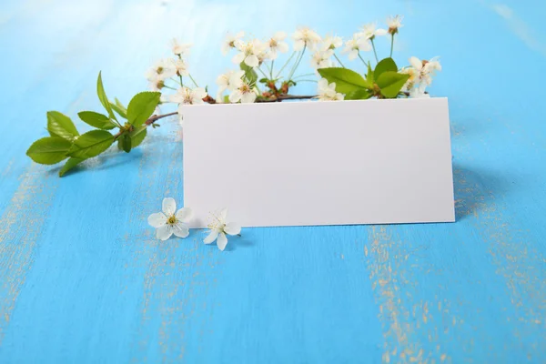 Flores de cereza sobre fondo azul — Foto de Stock