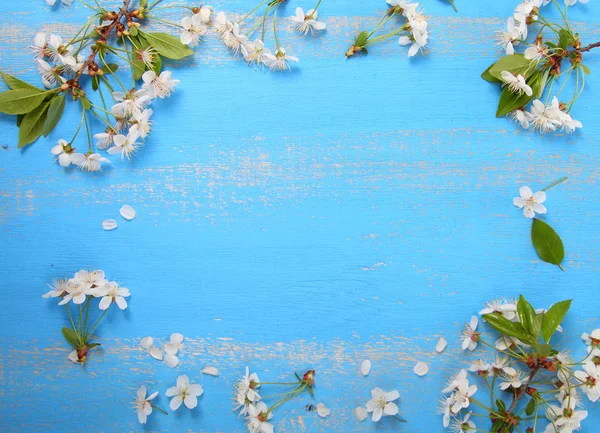 Рамка цветущей вишни — стоковое фото