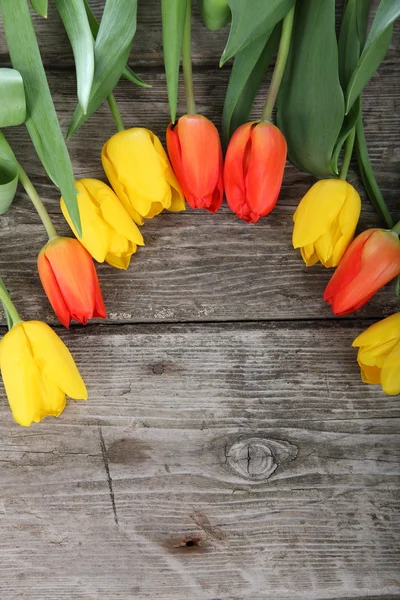 Boeket gele en rode tulpen — Stockfoto