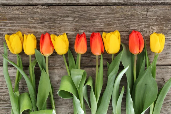 Boeket gele en rode tulpen — Stockfoto