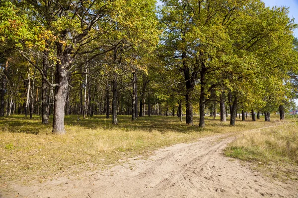 Höstlandskap på en solig dag — Stockfoto