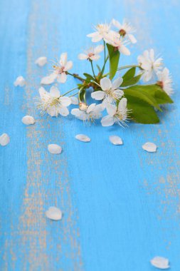 Tahta bir masada karnabahar