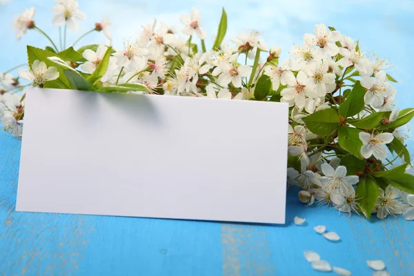 Flowers of cherry and card — Stock Photo, Image