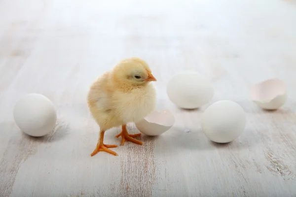 Gele kippen en eieren op een houten achtergrond — Stockfoto