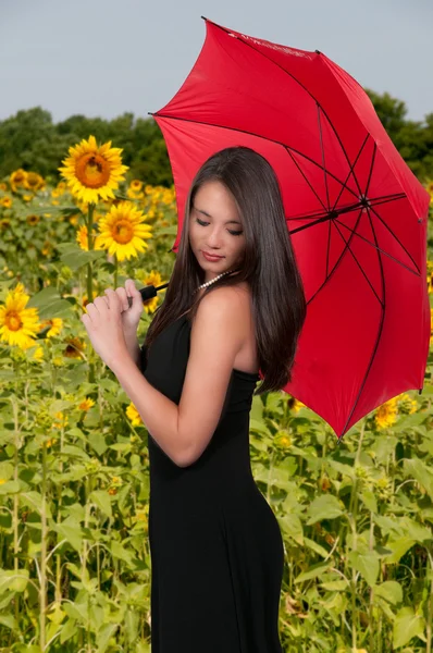 Жінка холдингу парасольку — стокове фото