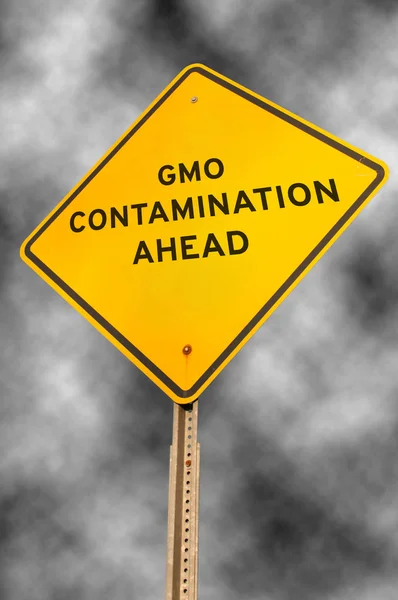 Kontaminace GMO — Stock fotografie