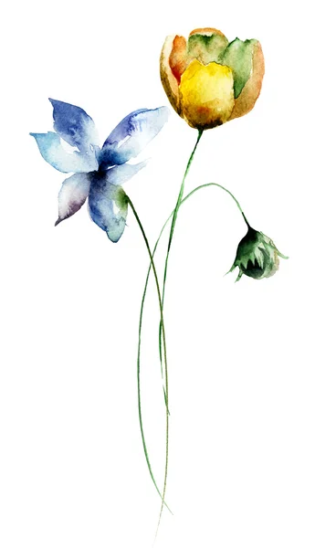 Schöne Blumen, Aquarell-Illustration — Stockfoto