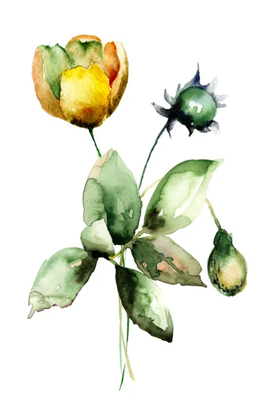 Belles fleurs, illustration aquarelle — Photo