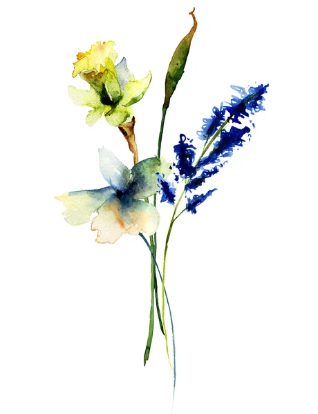 Piękne kwiaty, akwarela ilustracja — Zdjęcie stockowe