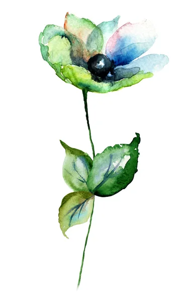 美しい花、水彩イラスト — ストック写真