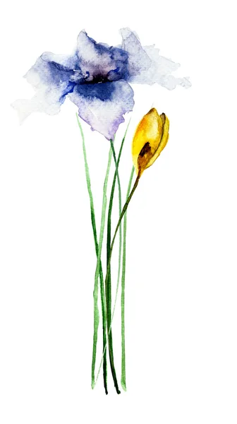 Vackra blommor, akvarell illustration — Stockfoto
