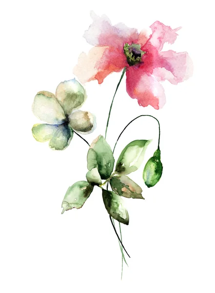 Mohn und Tulpenblumen — Stockfoto