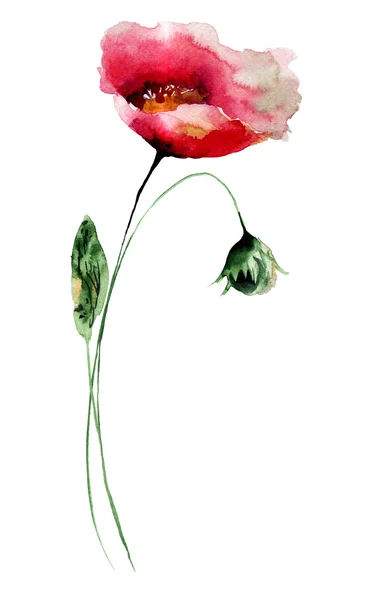 Illustration aquarelle fleurs stylisées — Photo