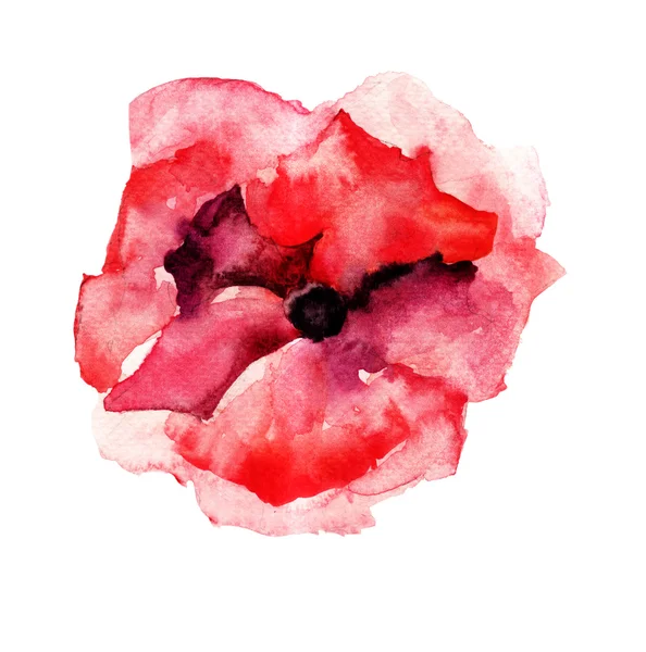 Red flower, watercolor illustration — Stock Photo, Image