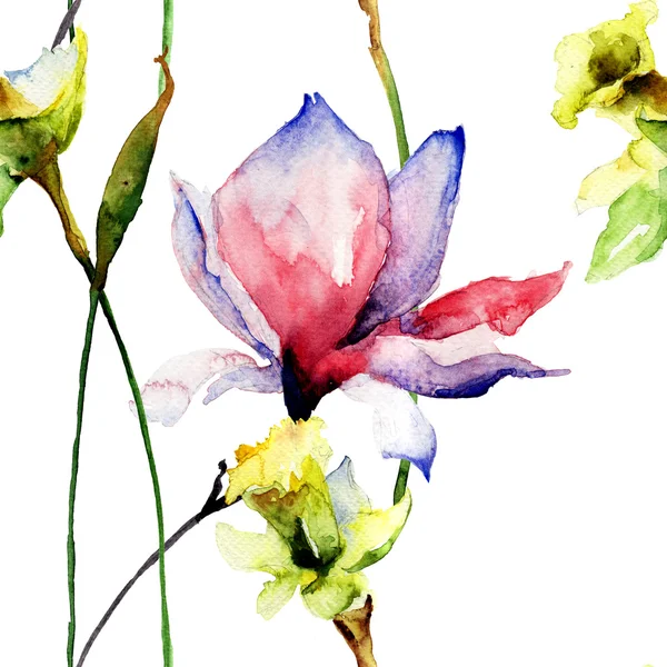 Bezešvé vzor s květy, krásná magnólie a Narcis — Stock fotografie