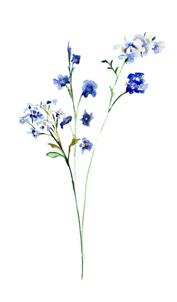 Flores silvestres estilizadas — Fotografia de Stock