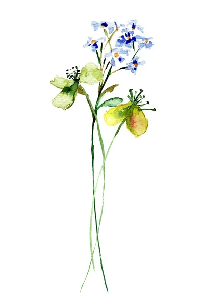 Stiliserade blommor akvarell illustration — Stockfoto