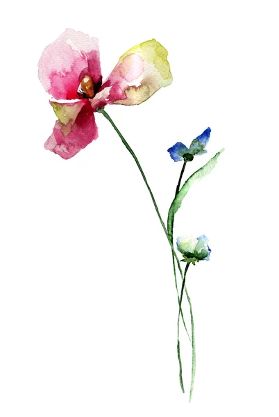 Gestileerde bloemen aquarel illustratie — Stockfoto