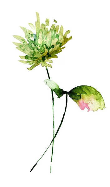 Akwarela ilustracja stylizowane kwiaty — Zdjęcie stockowe