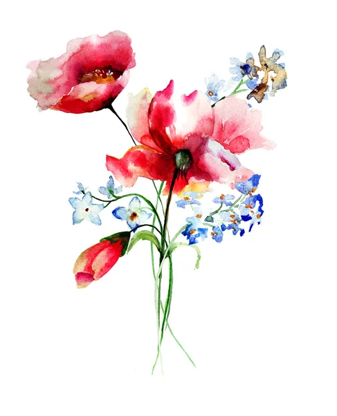 Våren blommor akvarell illustration — Stockfoto