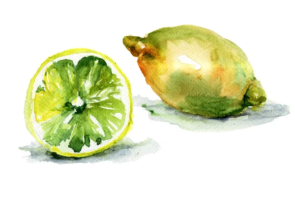 レモンの水彩画のイラスト — ストック写真