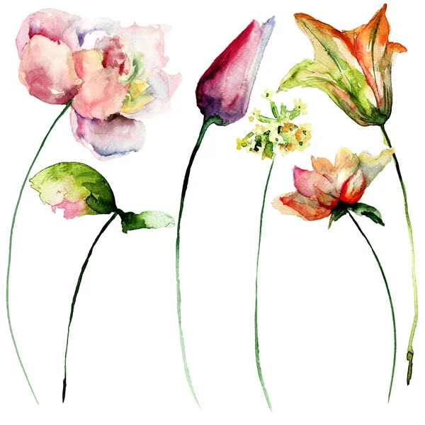 Stilisierte Blumen Aquarell Illustration — Stockfoto