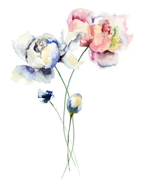 Πολύχρωμα λουλούδια παιώνιες — Φωτογραφία Αρχείου