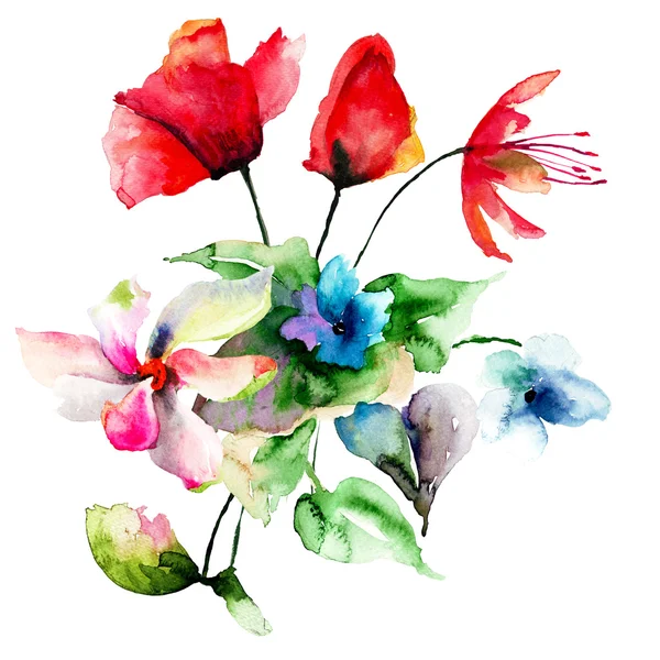 Fleurs sauvages colorées — Photo