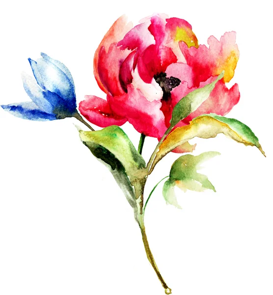 Watercolor painting of spring flowers — Stock Photo, Image