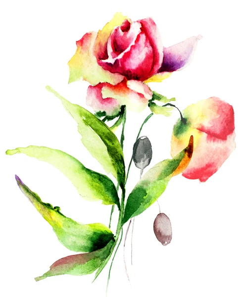 Розы и цветы мака — стоковое фото