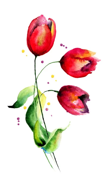 Oorspronkelijke tulpen bloemen — Stockfoto