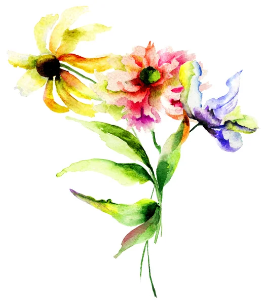 Watercolor illustration with wild flowers — Stock Photo, Image