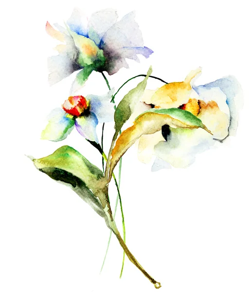 Peinture aquarelle avec fleur bleue — Photo