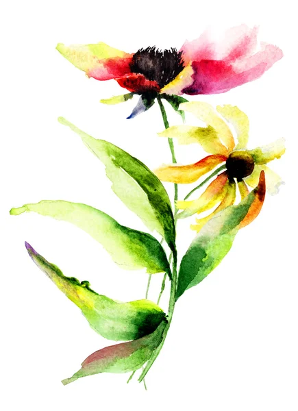 Aquarell Illustration von Blumen — Stockfoto