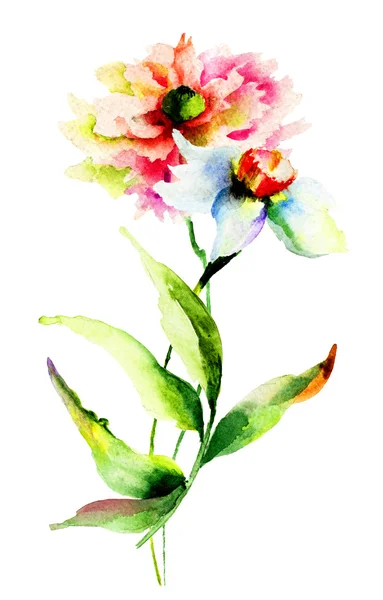 Watercolor illustration of flowers — Stock Photo, Image