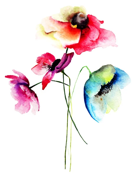 Watercolor illustration of Summer flowers — Stock Photo, Image