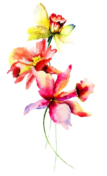 Flores de verão originais — Fotografia de Stock