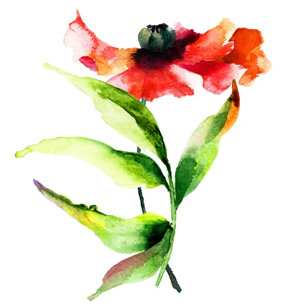 Aquarell Illustration der Mohnblume — Stockfoto