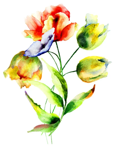 Lindas flores de tulipas — Fotografia de Stock
