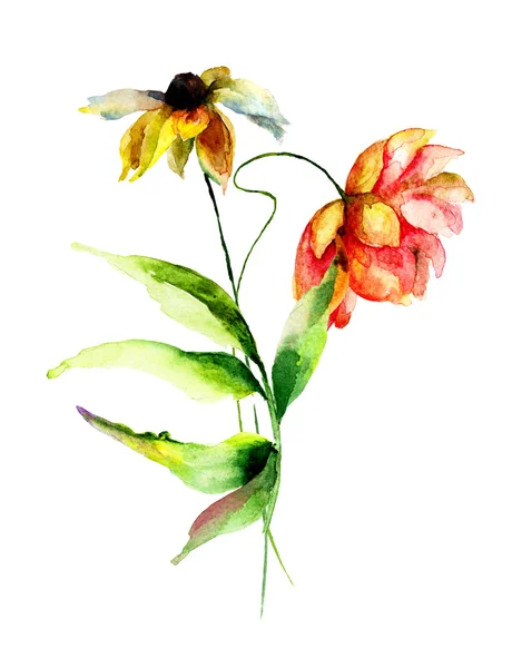 Gerber λουλούδια — Φωτογραφία Αρχείου